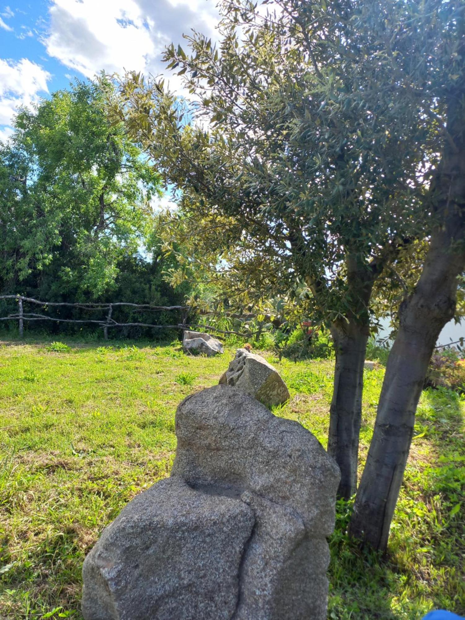 Agriturismo B&B Mares E Montes De Marrante 시니스콜라 외부 사진