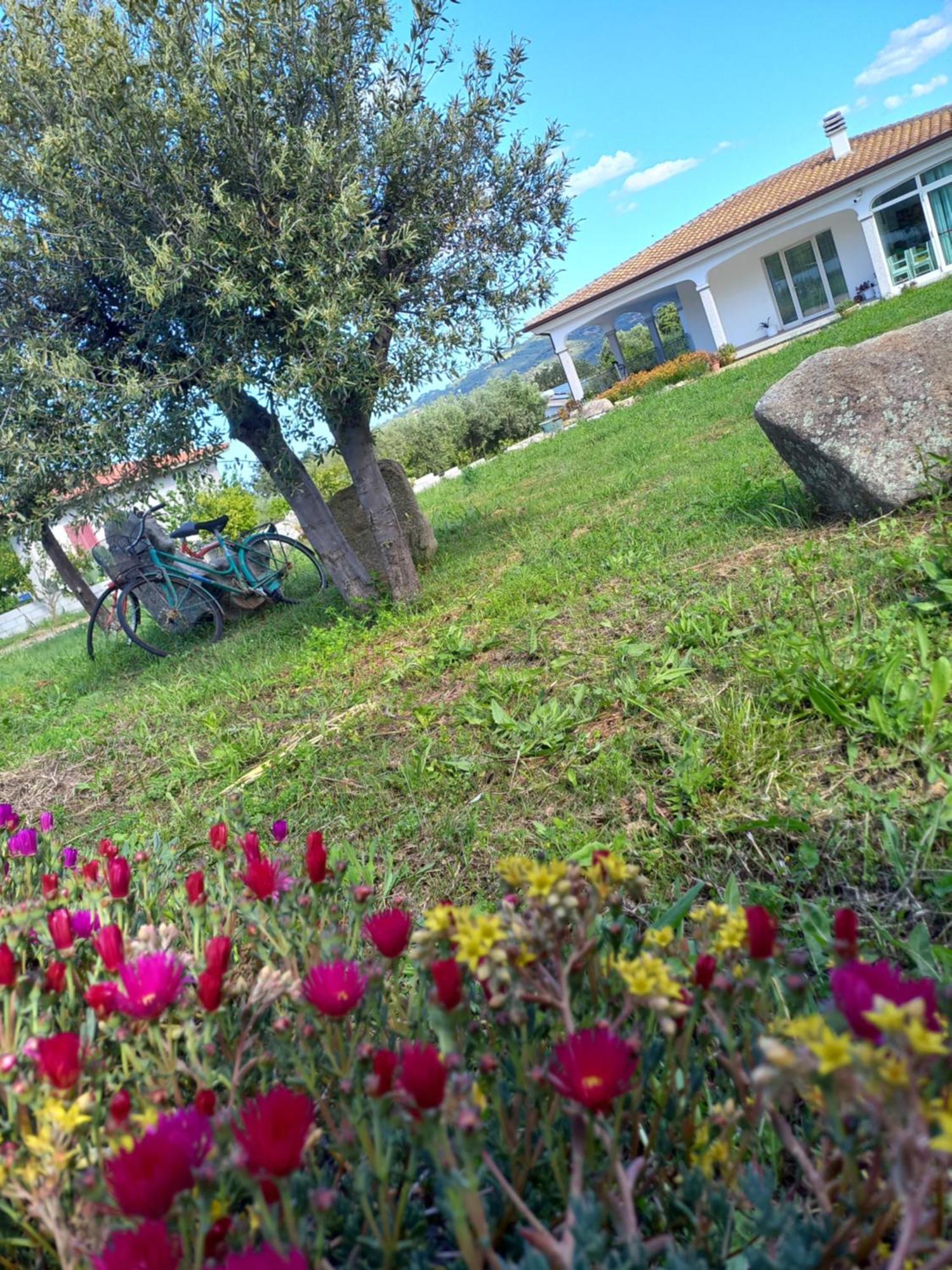Agriturismo B&B Mares E Montes De Marrante 시니스콜라 외부 사진